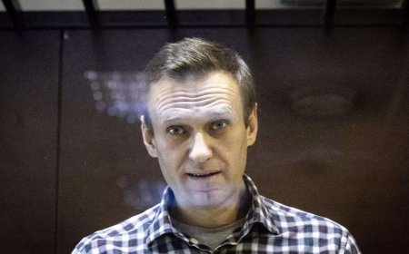Russia jails Navalny campaigner for nine years for 'extremism'