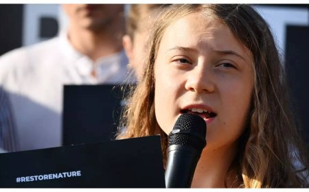 Greta Thunberg goes on trial over Swedish climate protest