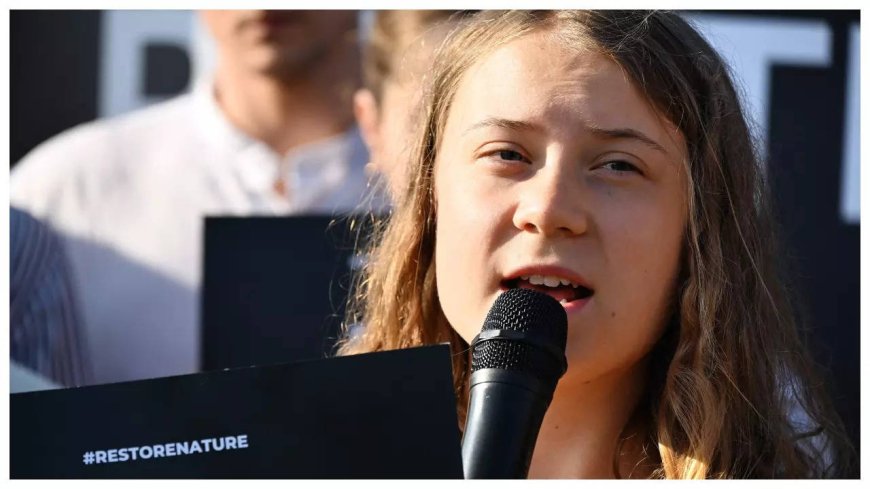 Greta Thunberg goes on trial over Swedish climate protest