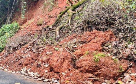 Fresh landslide a big cause of worry: Shristhal villagers