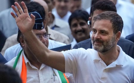 'Rahul Gandhi is still a convict': lawyer Mahesh Jethmalani on SC stay order