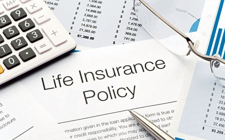 New laws to usher in insurance reforms