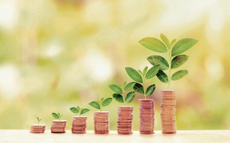 The essence of diversification and how it helps your investment portfolio