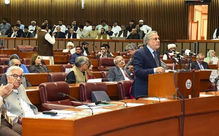 Mint Explainer: Pakistan dissolves National Assembly ahead of elections. What next?