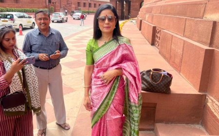 Mahua Moitra's 'bright pink &amp; green saree' jibe ahead of no-confidence motion speech