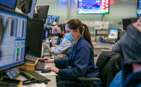 Small-cap stock below  ₹5: Mauritius-based FII buys stake in this penny stock