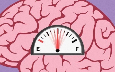 How to keep the brain healthy