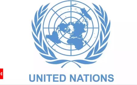 U.N. humanitarian chief appeals to Myanmar generals for greater aid access