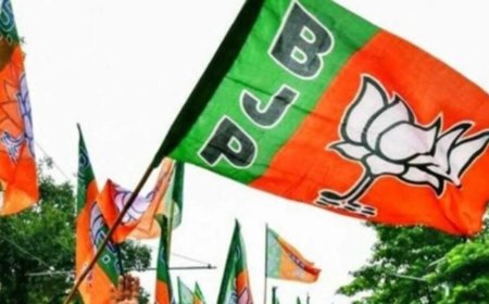 In charts: BJP hold intact, viable Opposition not emerging