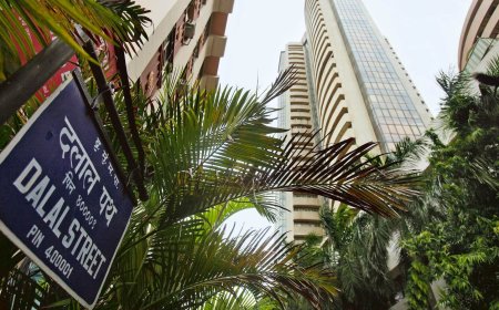 Multibagger stock close to life-time high. Share price triples in three years