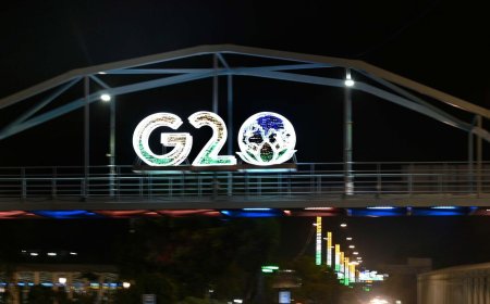 G20 Summit: AAP vs LG debate over funding of Delhi's makeover