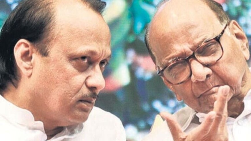 Ajit Pawar ‘not big enough’ to offer a role to Sharad Pawar: Sanjay Raut