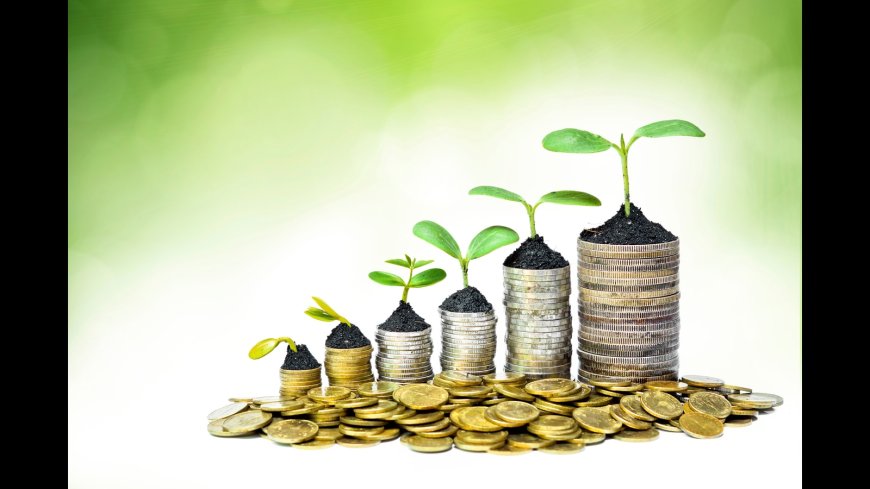 How Axis Mutual Fund plans to turn around its ship now