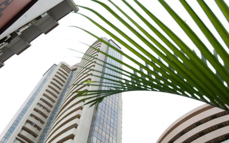 Multibagger stock Sunrise Efficient Marketing declares bonus shares in 1:1 ratio: Details here