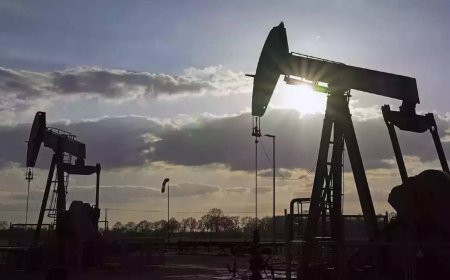 Why share of Russia crude in India's oil imports dipped in August