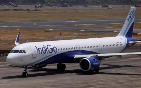 IndiGo flight returns to Bhubaneshwar over bird hit
