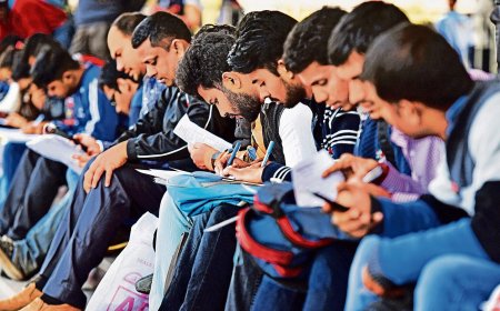 Punjab sees 4x rise in overseas study enrolments, 27% increase in job applications