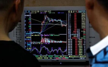 Voltas share price rises over 4%; Motilal Oswal reinitiates coverage on stock, sees 15% upside potential