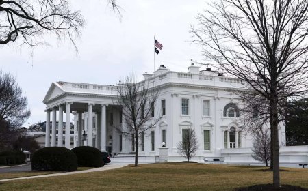 Joe Biden officials pressured social media giants, court finds