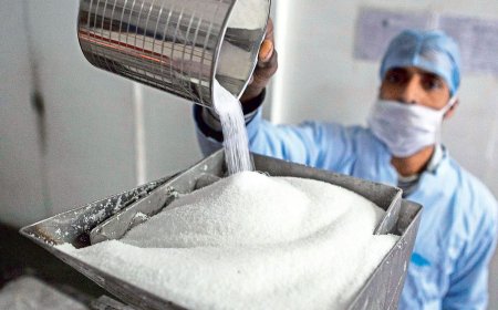 Top 5 Sugar Stocks to Watch as Supply Crunch Drives Prices Higher
