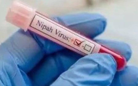 Kerala: Results of samples sent to virology institute in Pune awaited to confirm presence of Nipah virus