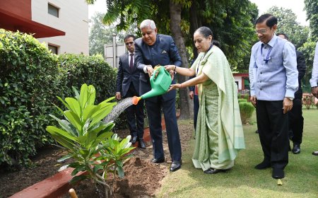 Vice President and Chairman of Rajya Sabha, Shri Jagdeep Dhankhar planting a sapling at the premises of Indian Council of World Affairs