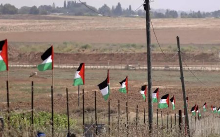 Israeli restrictions hinder Palestinians' access to healthcare: World Bank