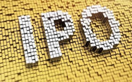 RR Kabel IPO: What does the latest GMP signal ahead of listing?