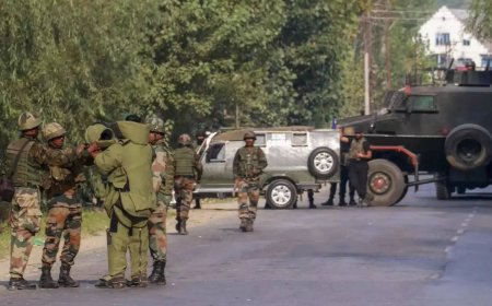 Terrorist, 8 associates involved in cross-border smuggling of arms arrested in Jammu and Kashmir's Baramulla