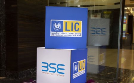 LIC's strategy shift helps reducing government borrowing costs: Report