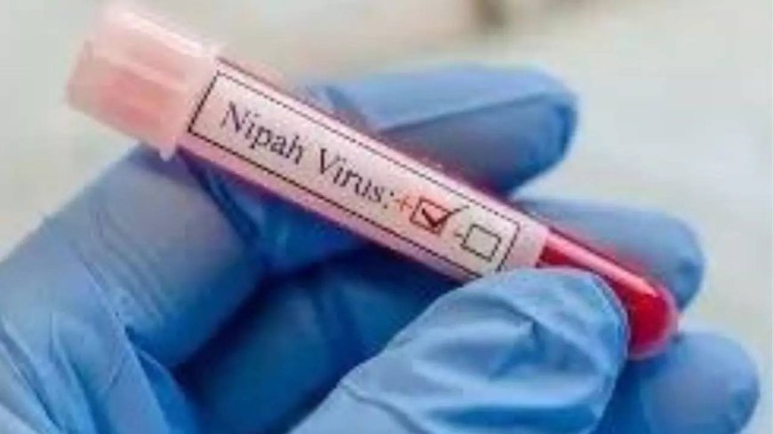 Kerala: Results of samples sent to virology institute in Pune awaited to confirm presence of Nipah virus