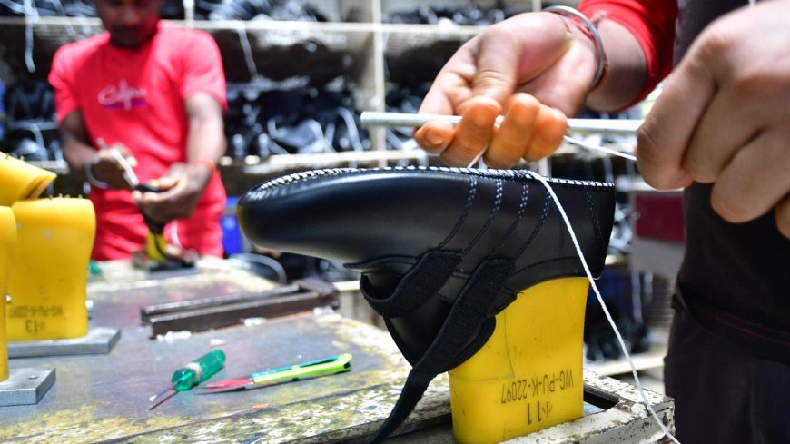 Coimbatore-based Walkaroo footwear hosts the 11th edition of Coimbatore Marathon