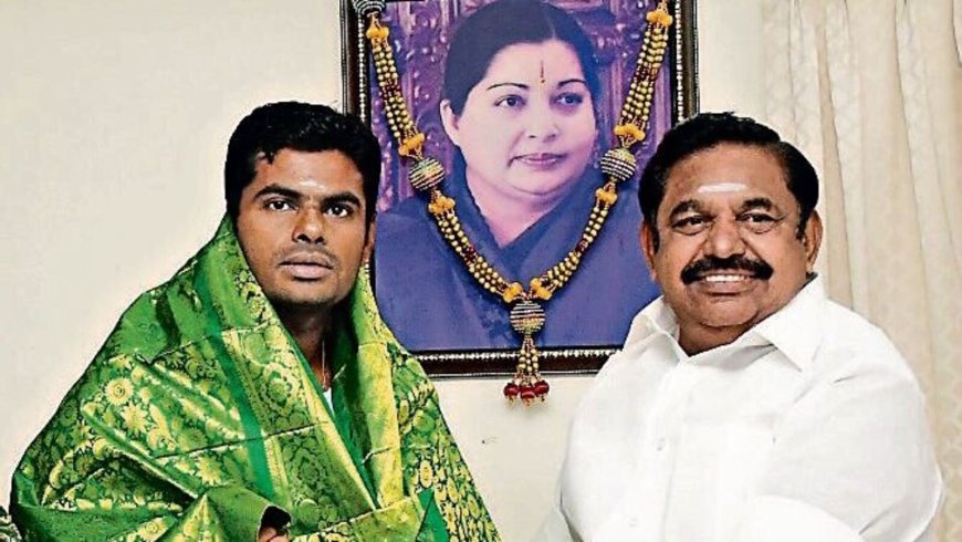 BJP's Annamalai breaks silence after AIADMK snaps alliance, says 'will give timely response'