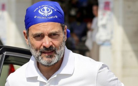 'Rahul Gandhi will lead India some day': Sharad Pawar says Congress leader is now being ‘taken seriously’