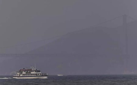 Florida's unusual hazy skies: Canadian wildfire smoke blankets the sunshine state