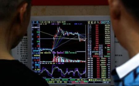 Bank of Baroda share price falls 4% after RBI ban on customer onboarding on app