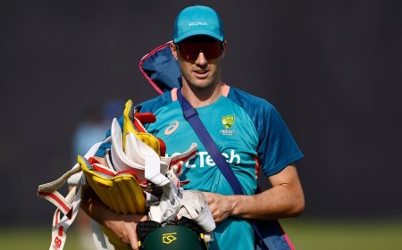 Australia vs South Africa Live Score, Cricket World Cup 2023 Updates: Can Pat Cummins' side make a comeback?