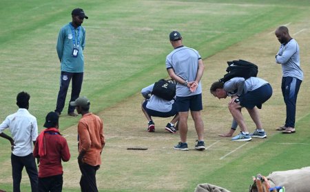 AUS vs SA, ICC World Cup 2023 match today: When, where and how to watch; live-streaming details