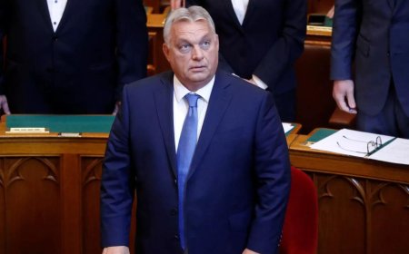 Hungary to ban rallies supporting 'terrorist organisations': PM Orban