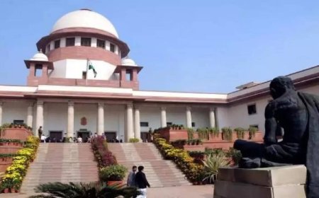 Sena disqualification row: 'Speaker can't defeat SC orders'