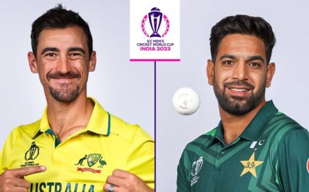Australia vs Pakistan Live Score Updates, World Cup 2023: Can PAK make a comeback?