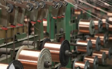 Plaza Wires shares double IPO allottees' money in seven post-listing sessions