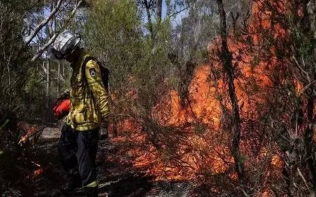 Residents in rural Australia urged to evacuate as bushfires rage