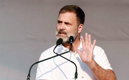 Chhattisgarh Assembly polls: Rahul Gandhi promises free treatment facility,  ₹10,000 per year for landless labourers