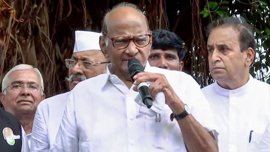 NCP party name-symbol row: Election Commission to hear pleas of Sharad Pawar, Ajit Pawar