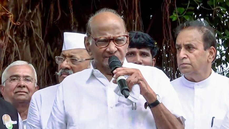 NCP leader counters 'fiefdom' jibe from Ajit Pawar-led faction, says Sharad Pawar 'stood behind you like a rock'