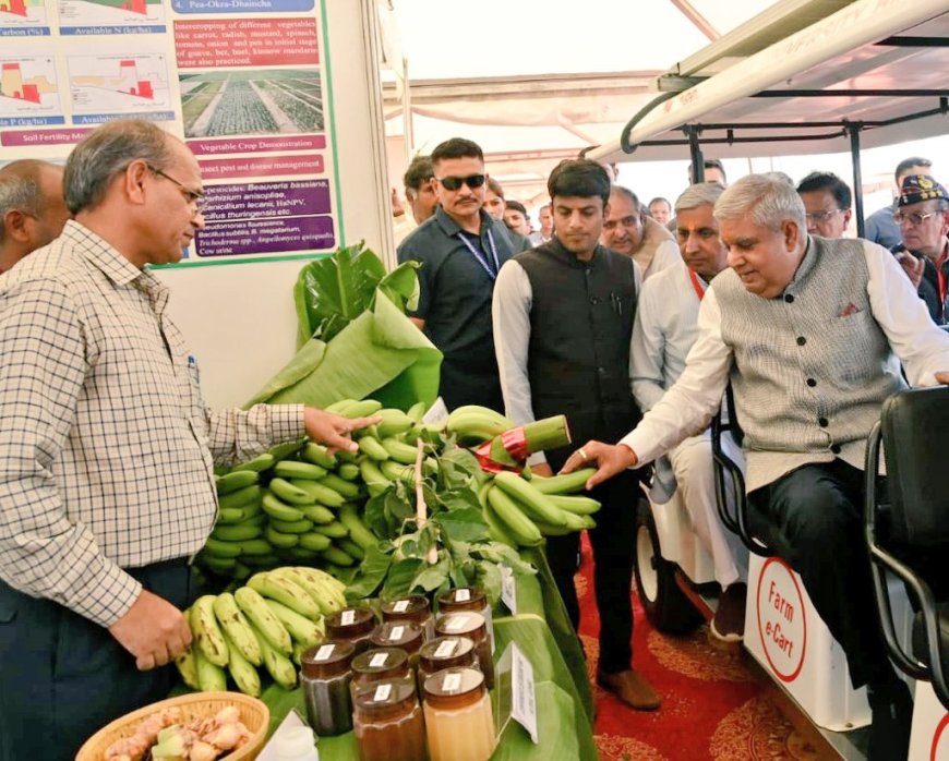 VP Jagdeep Dhankhar  visiting the Haryana Krishi Vikas Mela at C C S H A University