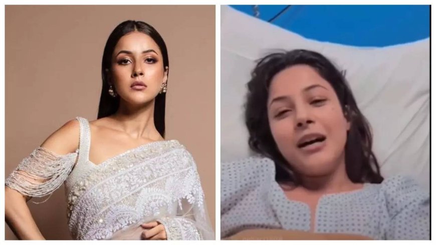 Shehnaaz hospitalised, Anil and Rhea Kapoor reach out to her