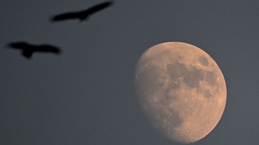 Lunar Eclipse 2023 Live Updates: Partial lunar eclipse to grace sky tonight. Know timings, how to watch