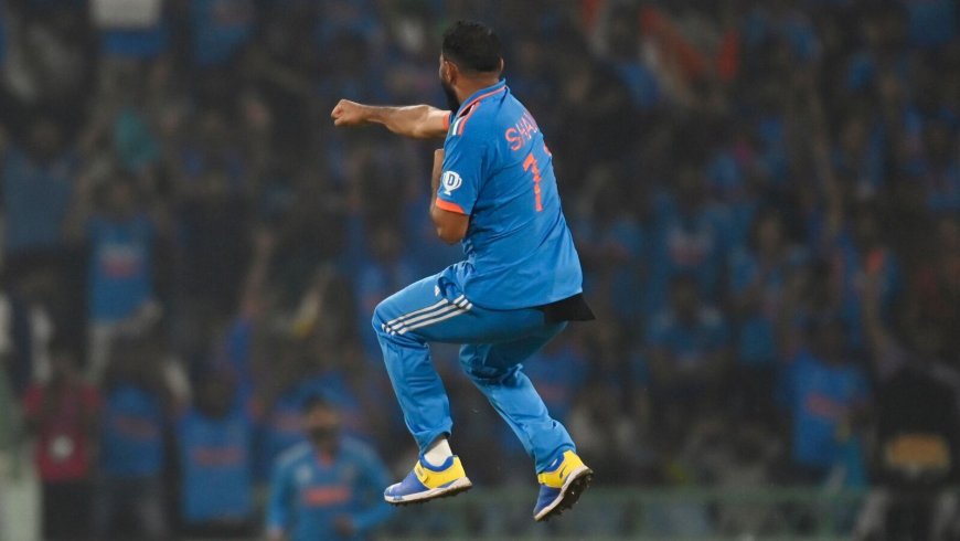 Highest wicket taker in 2023 World Cup: 2 Indian bowlers are in Top 10; can you guess who?